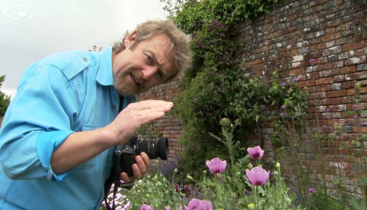 Macro Photography Tips Part 1