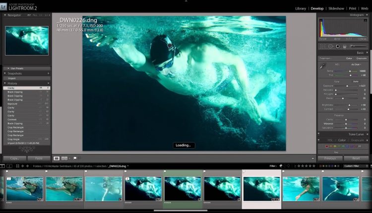 Olympic Swimming Trial Athletes - Underwater Photography - McMaster University