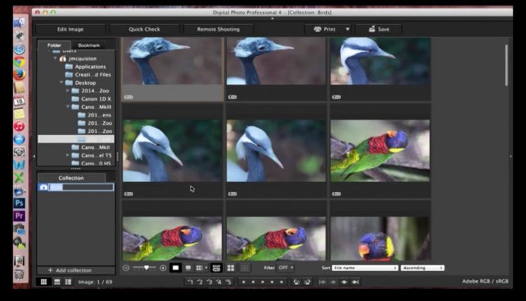 Canon Digital Photo Professional (DPP) 4: Managing Files