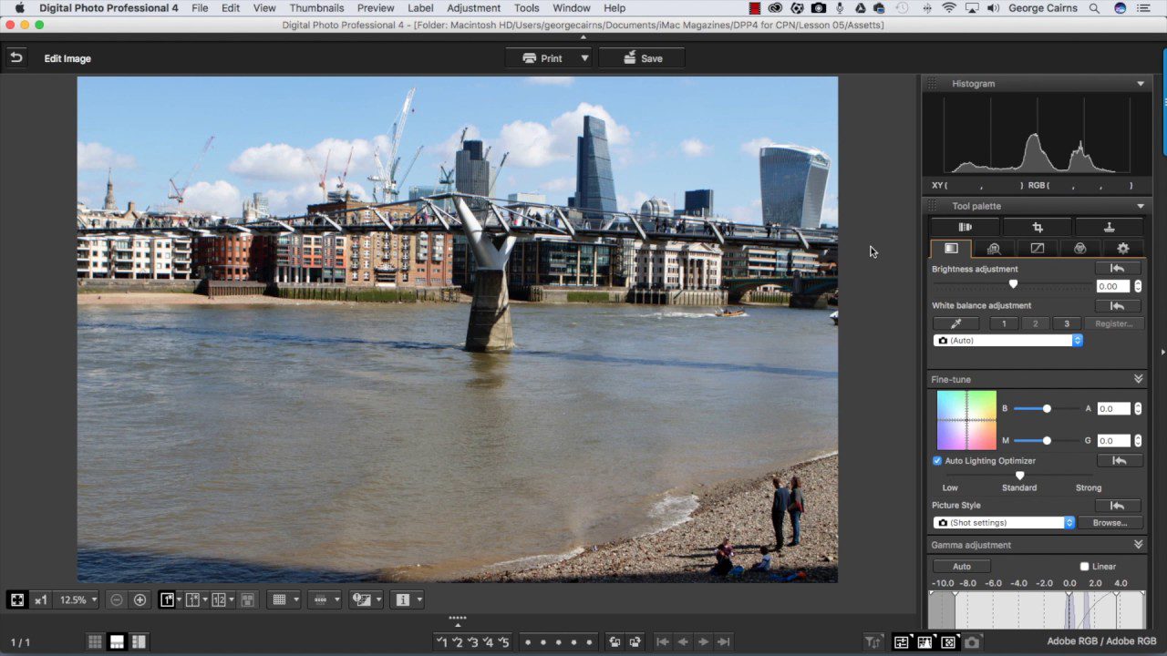 Canon Digital Photo Professional Video Tutorials - 5 Improve composition
