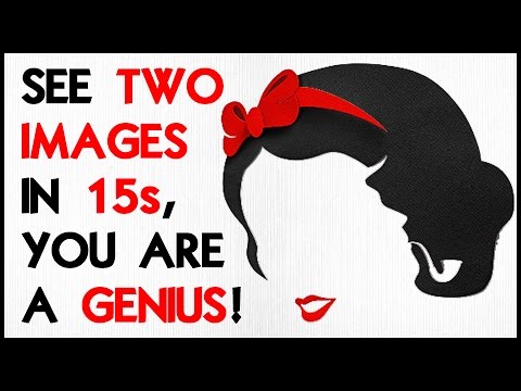 12 ILLUSIONS TO TEST YOUR BRAIN
