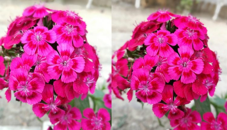 Still photo camera comparison between honor 8 vs honor 6x
