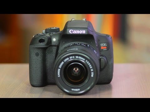 Canon EOS Rebel T6i i - A fine dSLR for family photos