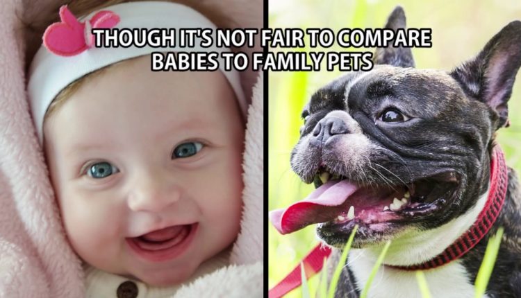 10 Shockingly Awkward Family Photos