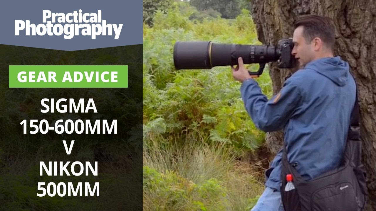 Photography tips - Sigma 150-600mm v Nikon 500mm