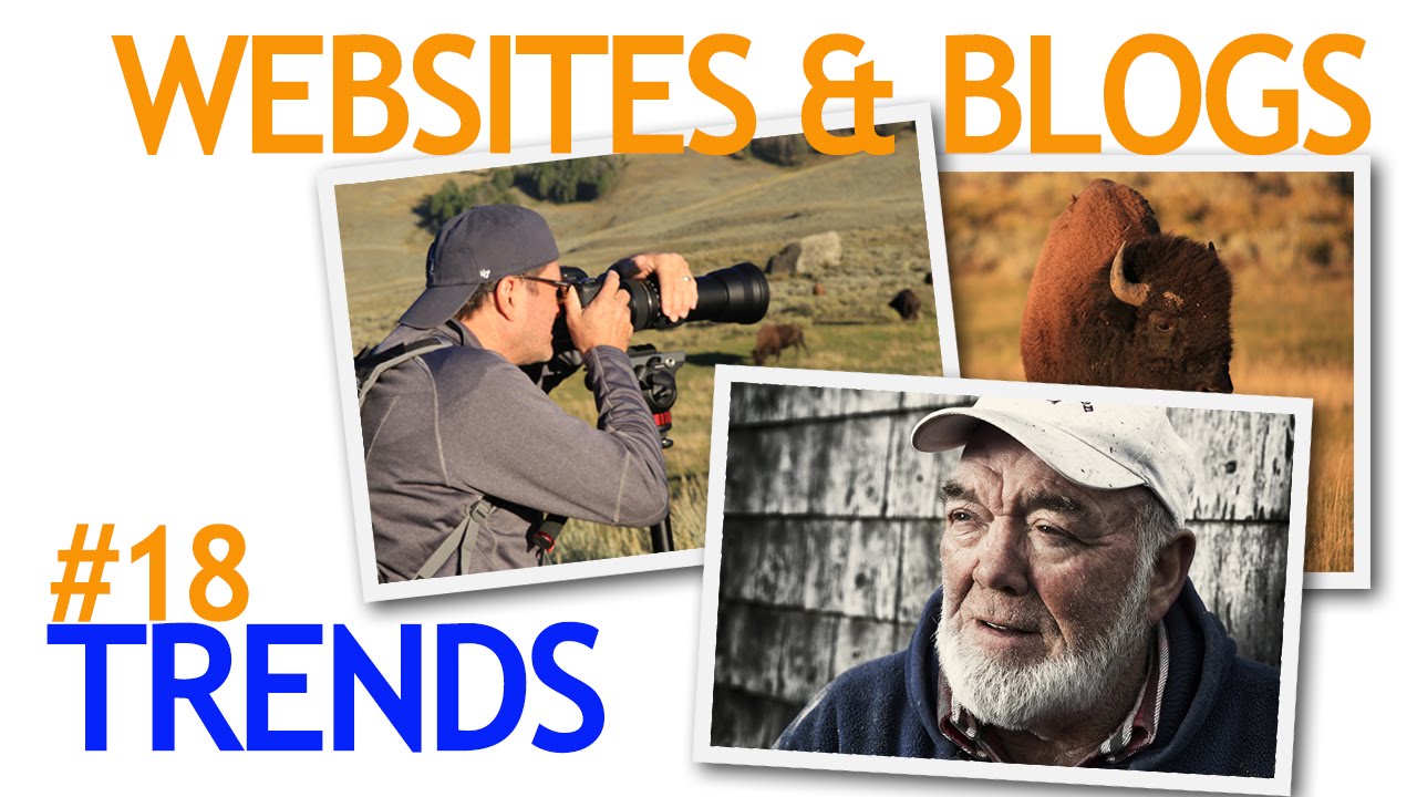 Photography Websites & Blogs