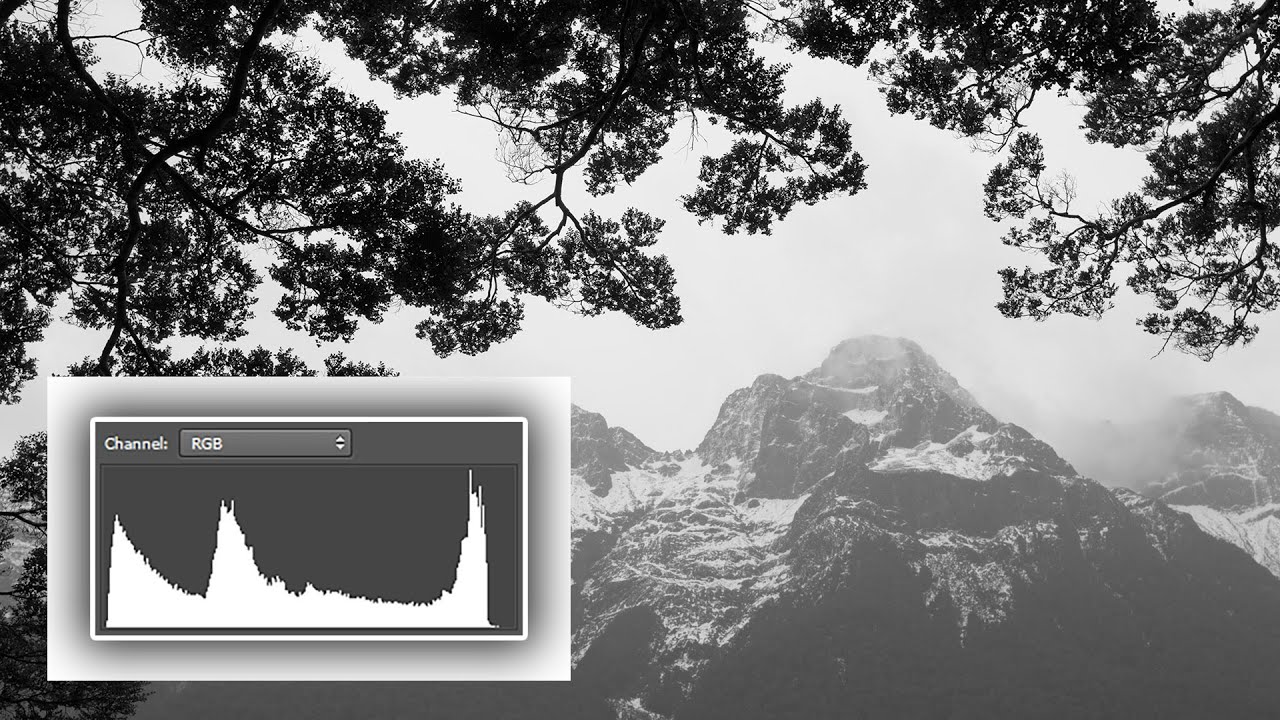 What the Heck is a  Histogram?? Understand Digital Photography's Most Useful Tool