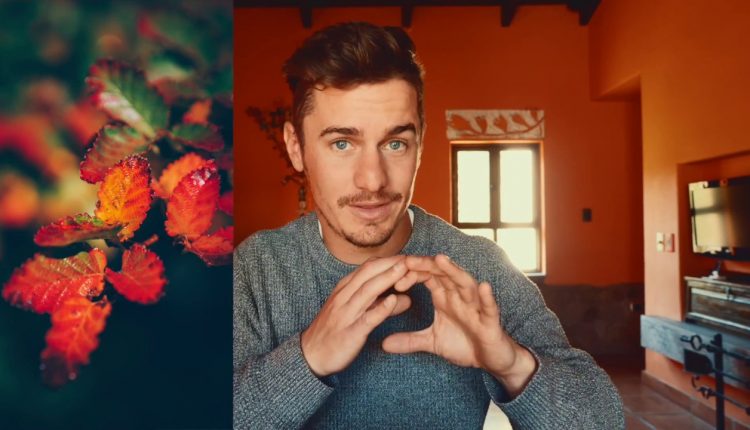 Camera Basics: ISO, Shutter Speed and Aperture (viewbug photography classes)