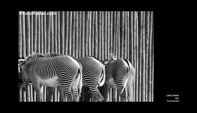 How to take a winning photo for a photography competition