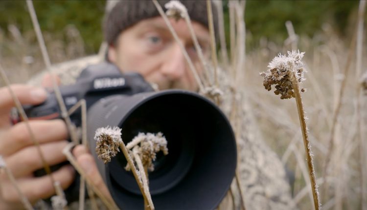 NATURE PHOTOGRAPHY AND BUSHCRAFT | First Frost, Birch Bark, Fire Steel and Campfire in the Forest