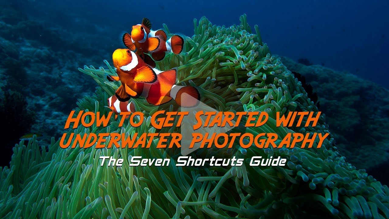 How to Get Started With Underwater Photography: Free Online Photography Lessons from Tommy Schultz