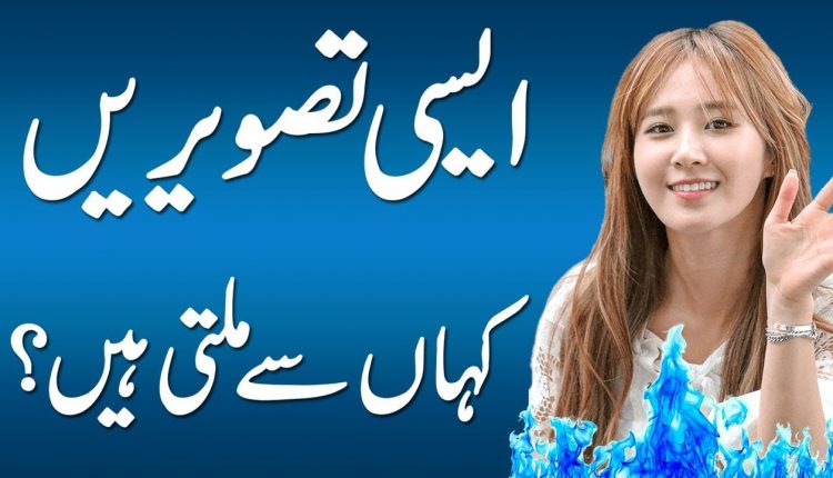 5 Best Websites for PNG Picture with Transparent Background