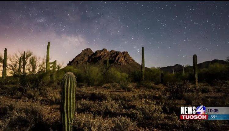PICTURE PERFECT: How local photographers capture Arizona beauty