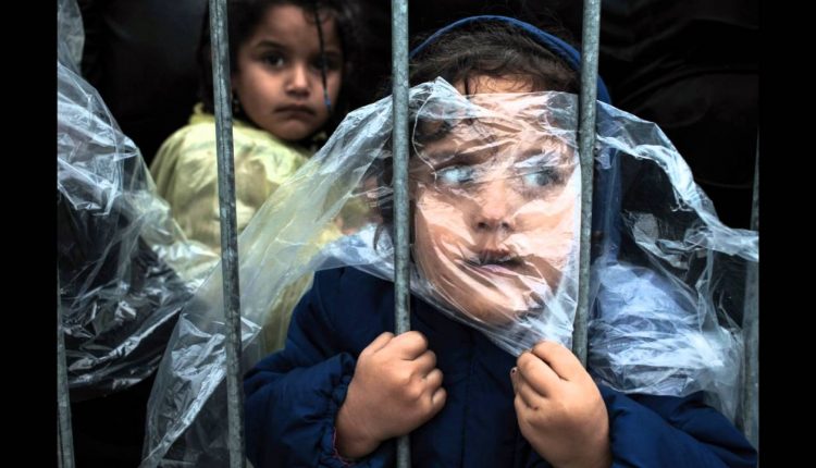 World Press Photo Contest Winners 2016