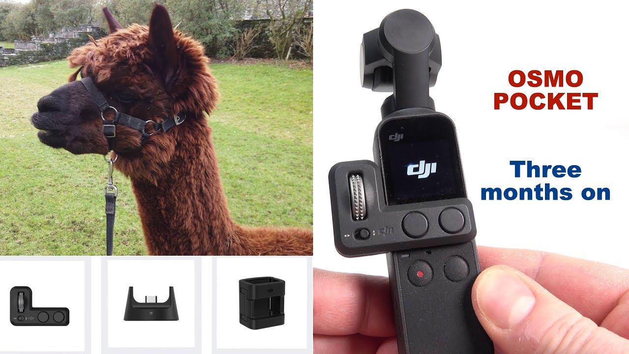 DJI Osmo Pocket - A 3-month-in REVIEW