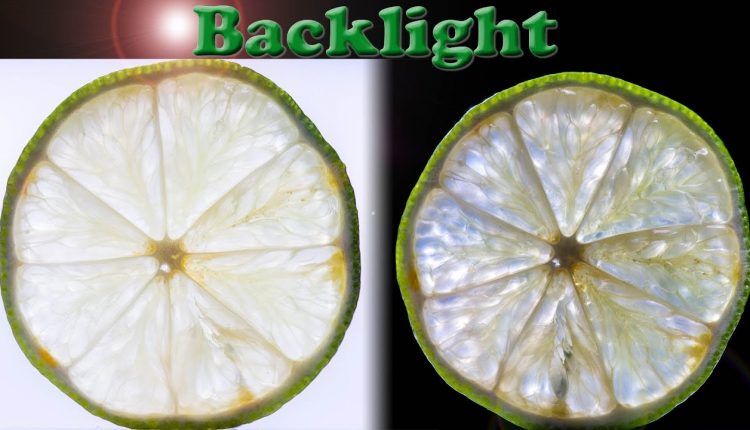 Studio Stock Photography - Backlit fruit cross section - Sony a77 + 100mm macro lens