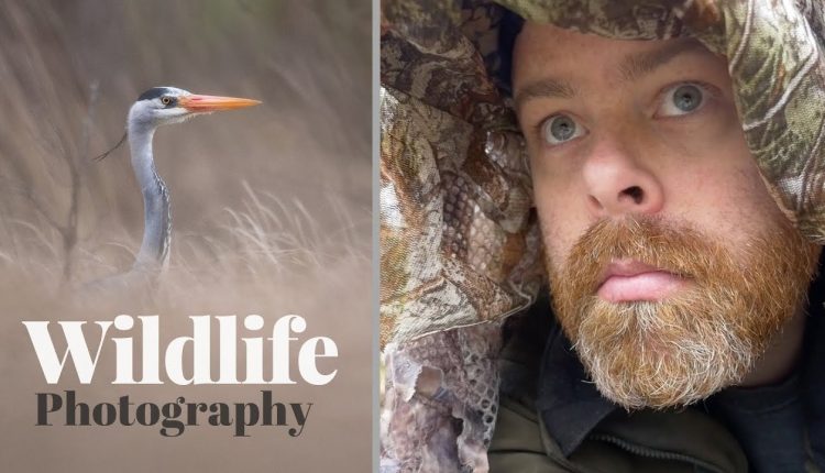 WILDLIFE PHOTOGRAPHY can be frustrating - but also rewarding
