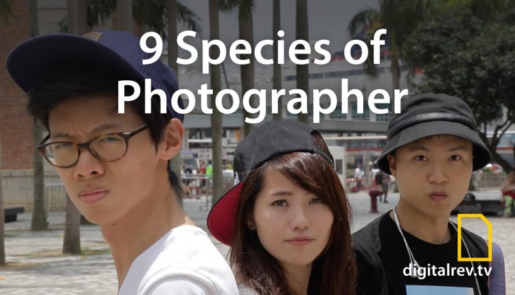9 Species of Amateur Photographer