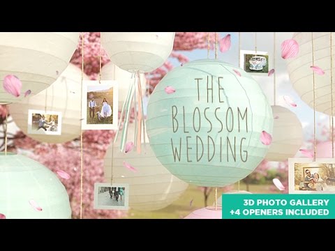 THE BLOSSOM WEDDING - Photo Gallery Slideshow - After Effects Template (not free)