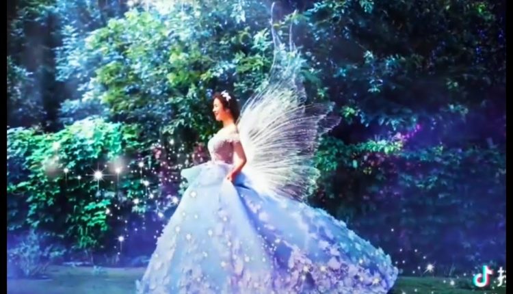 Unbelievable Wedding Photo Tik Tok  - Be amazed ???