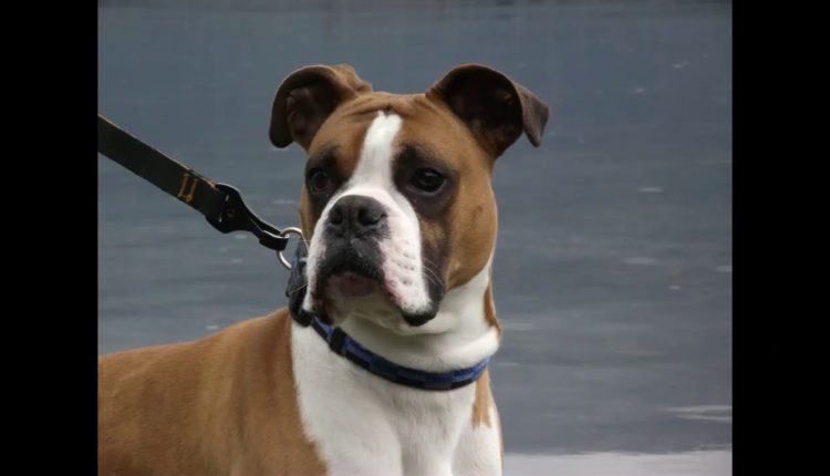 Experimental Photography