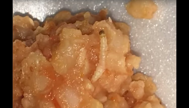Teen finds worm in school lunch, sends mom photo