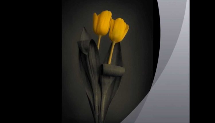 Black and White Fine Art Photography - Nature and Landscape Pictures