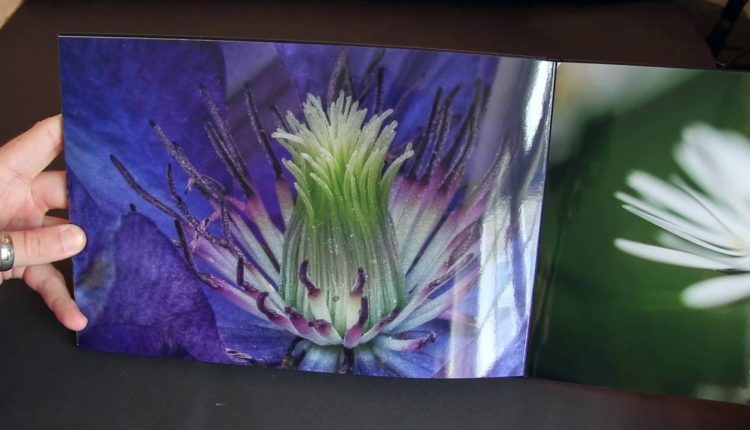 Saal Digital Photobook Review