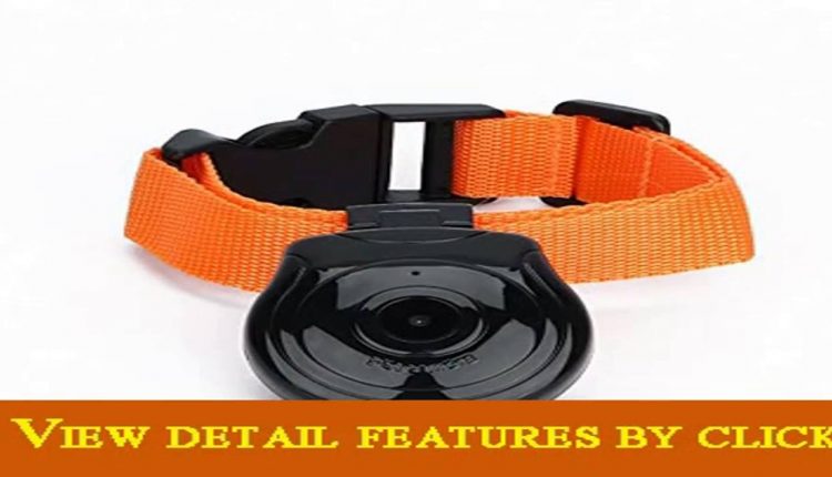 ZJchao Automatic Pet Collar Digital USB Photo Camera DVR Pet Deal