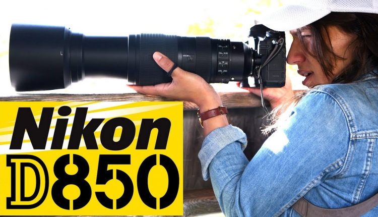 NIkon D850: Best Wildlife Camera EVER?