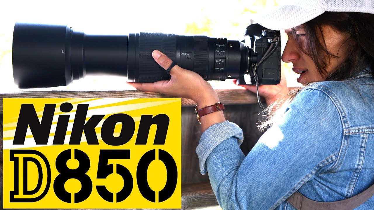 NIkon D850: Best Wildlife Camera EVER?