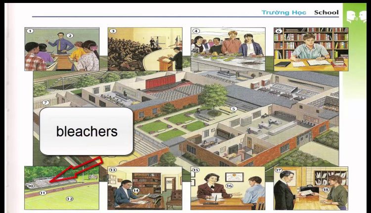 Oxford dictionary | Lesson 3 : School | Learn English | Oxford picture dictionary