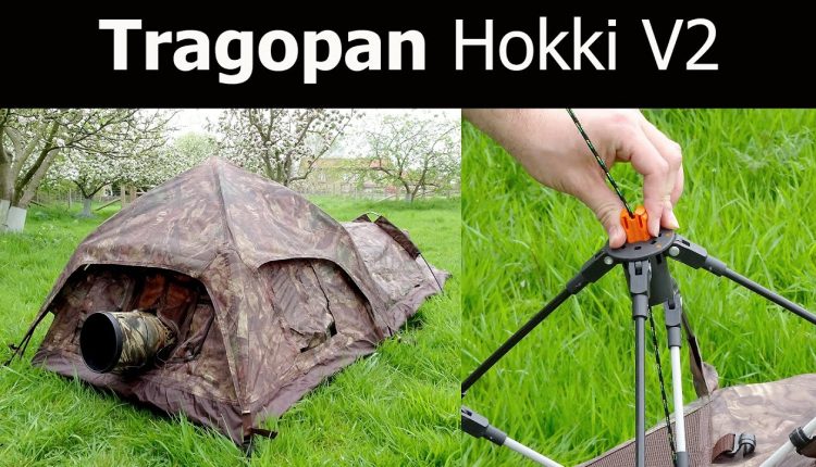 Low Level Photo Blind/Hide for Wildlife Photography: Tragopan Hokki V2