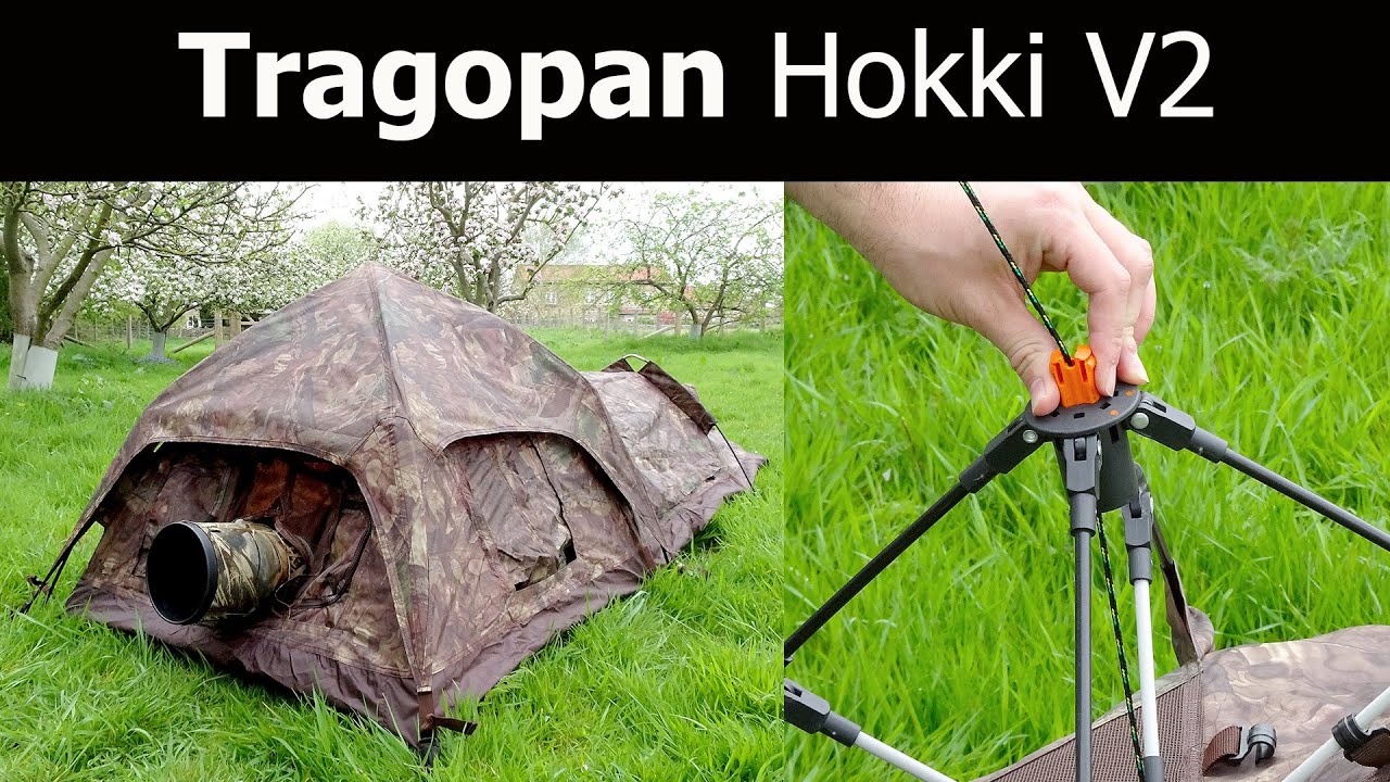 Low Level Photo Blind/Hide for Wildlife Photography: Tragopan Hokki V2