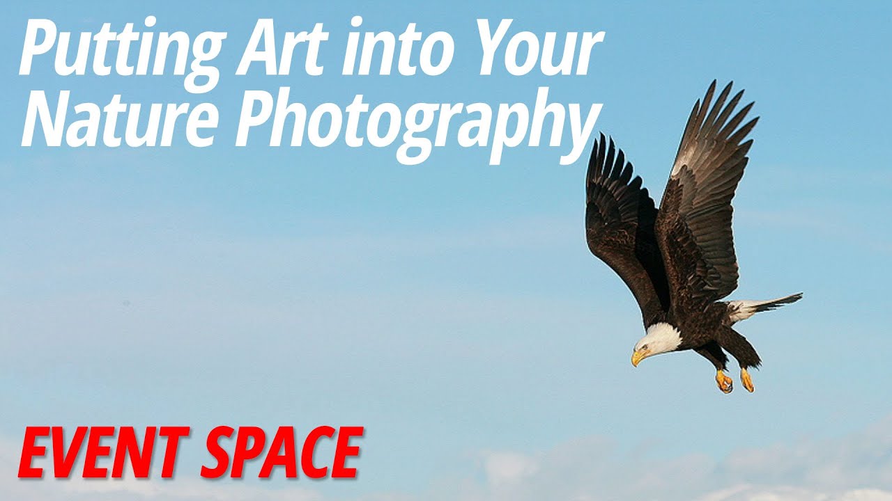 Putting Art into Your Nature Photography with Arthur Morris