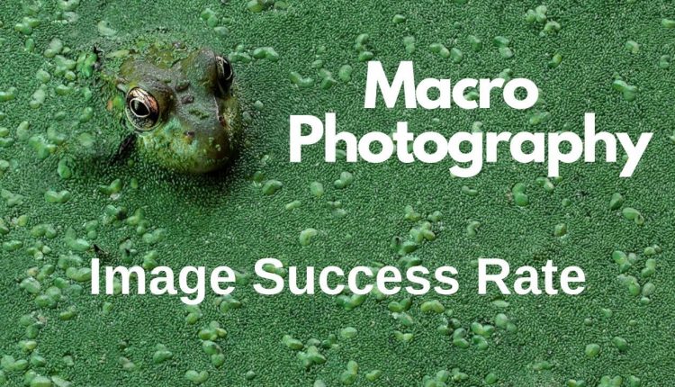 Macro Photography - Image Successs Rate