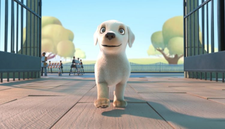 Pip | A Short Animated Film