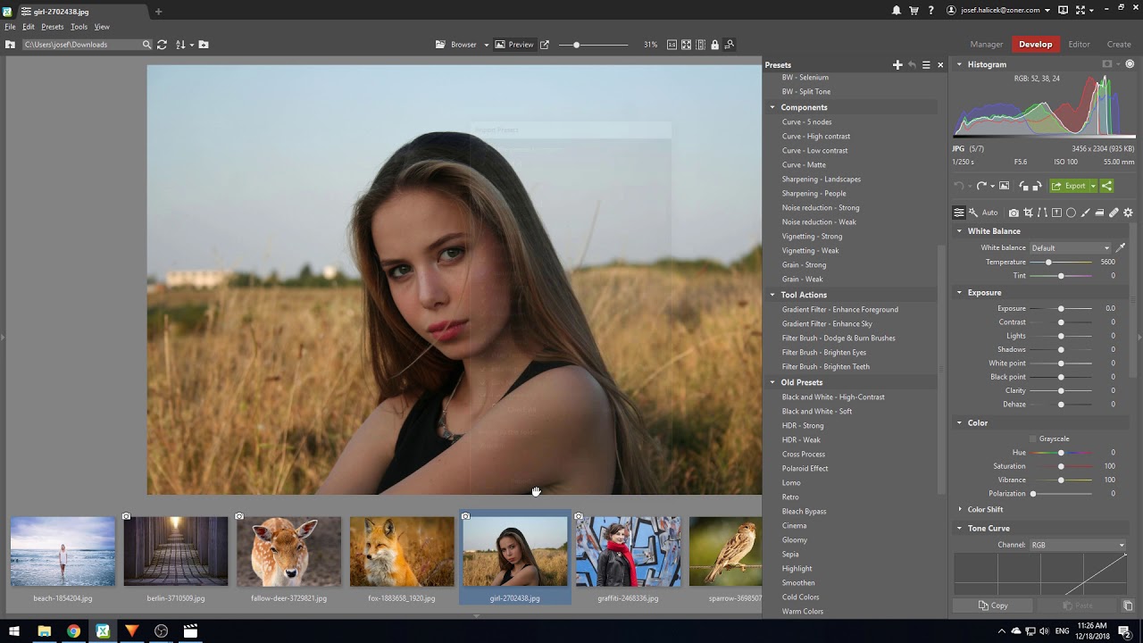 download how to edit portraits with zoner photo studio x 2018