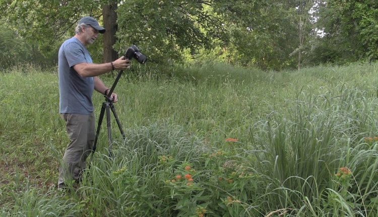 Macro Photography Tips - Raindrops on Grass