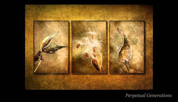 Texture Art Photography