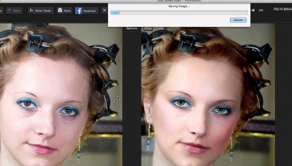 PortraitPro FAIL!!! portrait professional pro – DSLR Guru