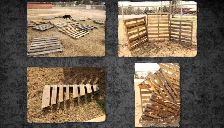 Senior Photography: Break the Mold with Blair Phillips | Trailer