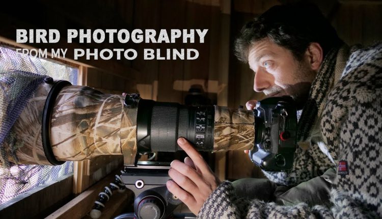 BIRD PHOTOGRAPHY from my PHOTO BLIND | Behind the scenes with wildlife photographer Morten Hilmer