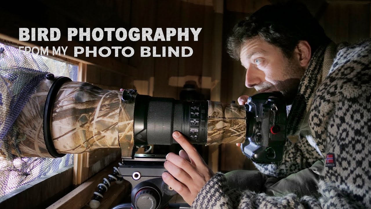 BIRD PHOTOGRAPHY from my PHOTO BLIND | Behind the scenes with wildlife photographer Morten Hilmer