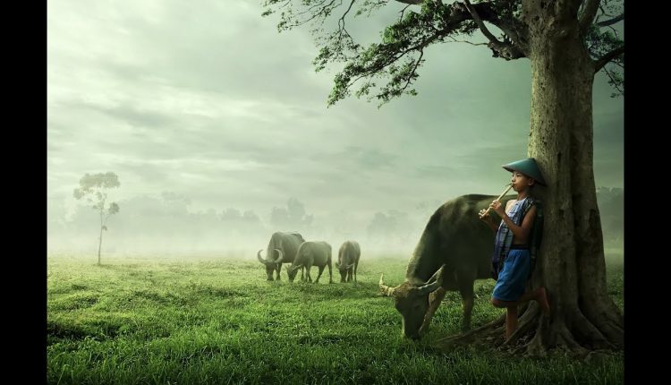 Free Photoshop Tutorial : How To Create PHOTO ART volume # 07 (Natural Version)