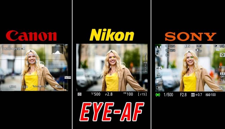 OFFICIAL Nikon Z6 EYE AF Real World Review (VS Sony & Canon) | NOT What I Expected!