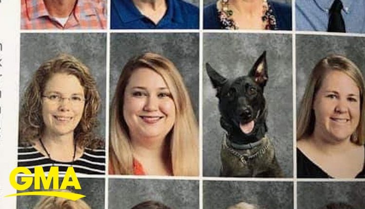 Proud K9 is all smiles in her adorable high school yearbook photo  | GMA Digital