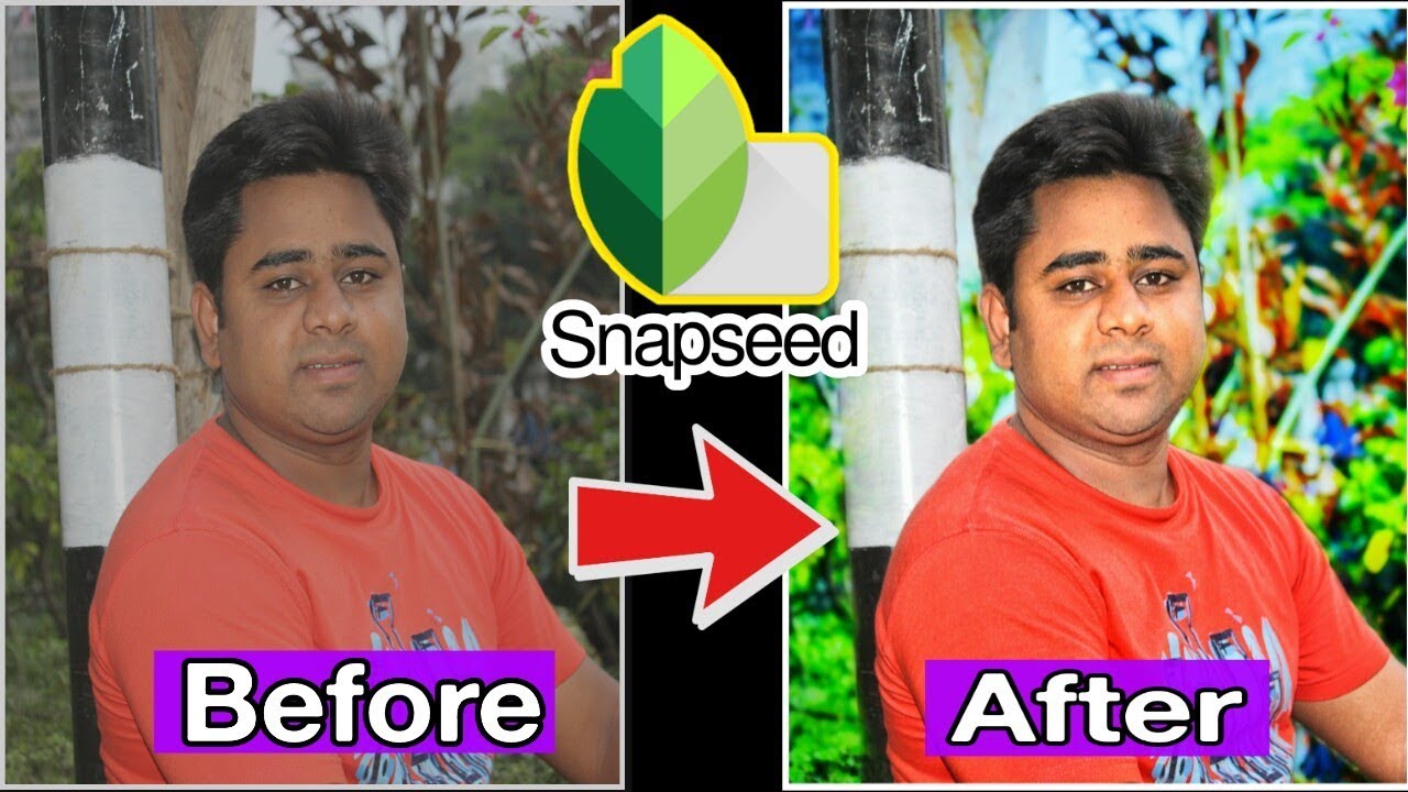 Snapseed photo editing and best color photo editing effect tutorial | Technology School Bangla|2019