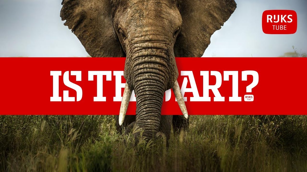 How BBC Earth paints us a perfect picture | Is This Art?