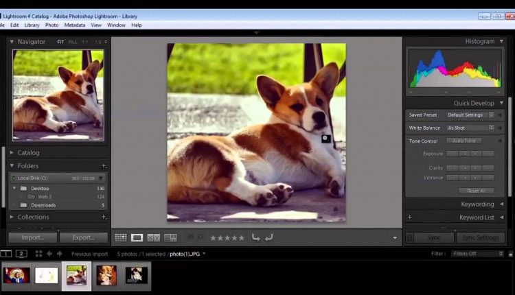 Professional Photography Course for Teens